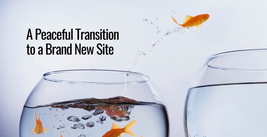A gold fish jumping out its bowl onto a new bowl