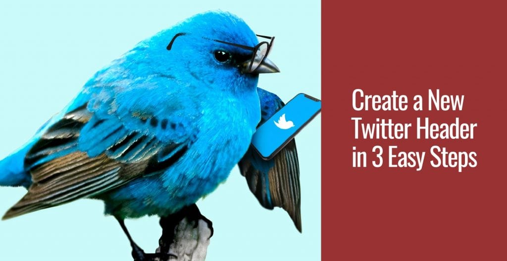 Create a New Twitter Header in 3 Easy Steps A photo of a blue bird with reading glasses using a smartphone and looking at twitter