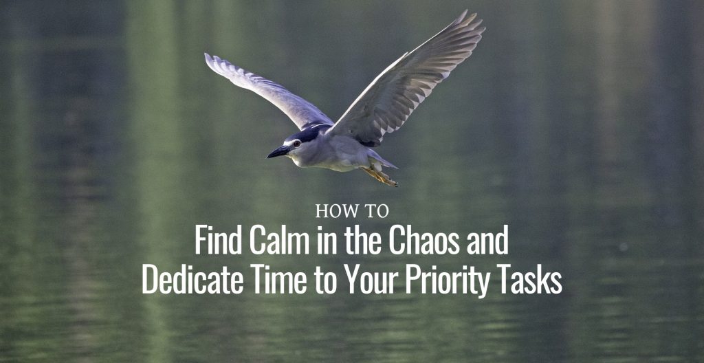 How to Find Calm in the Chaos and Dedicate Time to Your Priority Tasks