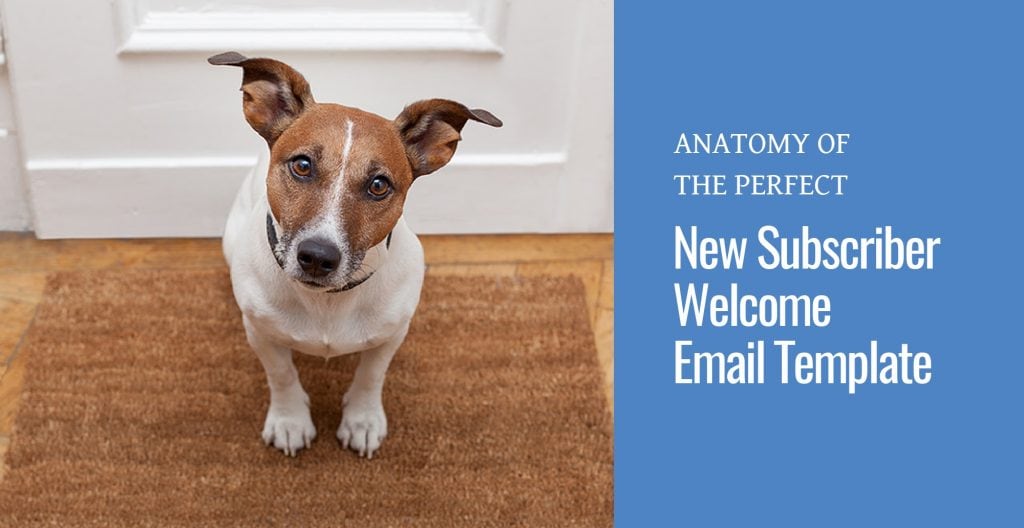 Dog on a welcome mat and the text Anatomy of the Perfect New Subscriber Welcome Email