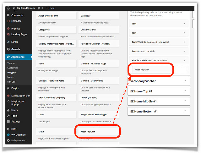 Insert a widget into your WordPress site